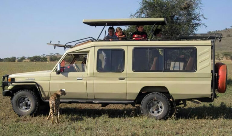 4x4 Land cruiser safari