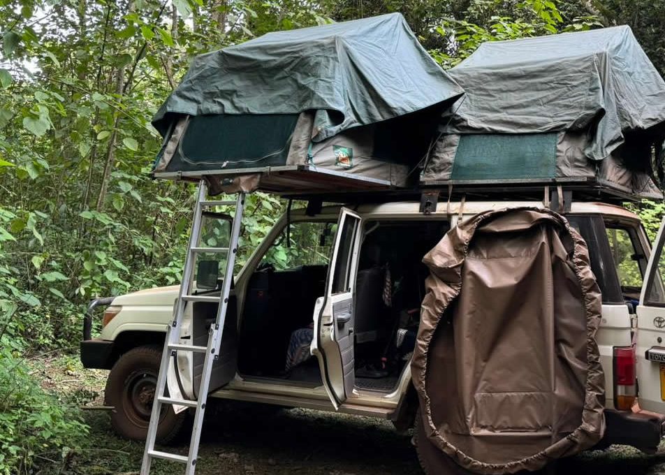 Explore East Africa with a 4x4 Land Cruiser rooftop tent! Enjoy flexible, comfortable camping on a self-drive safari, ideal for experiencing wildlife and remote locations.